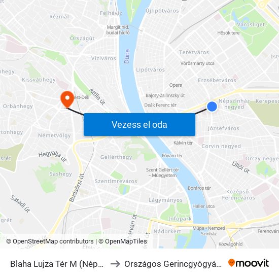 Blaha Lujza Tér M (Népszínház Utca) to Országos Gerincgyógyászati Központ map