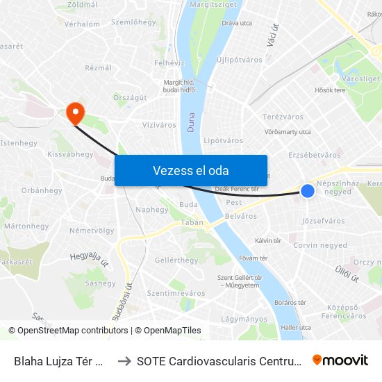 Blaha Lujza Tér M (Népszínház Utca) to SOTE Cardiovascularis Centrum (Szív- és Érsebészeti Központ) map