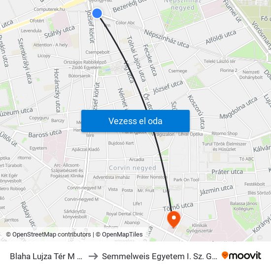 Blaha Lujza Tér M (Népszínház Utca) to Semmelweis Egyetem I. Sz. Gyermekgyógyászati Klinika map