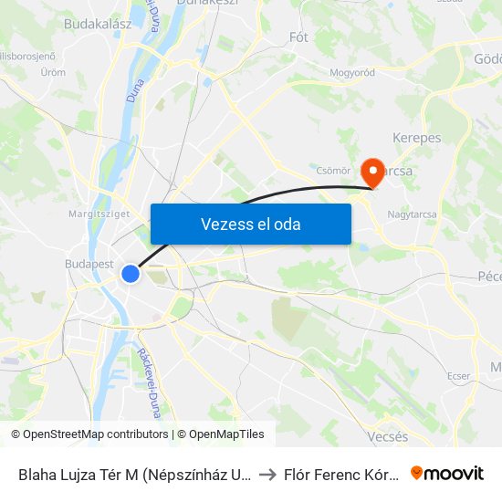 Blaha Lujza Tér M (Népszínház Utca) to Flór Ferenc Kórház map