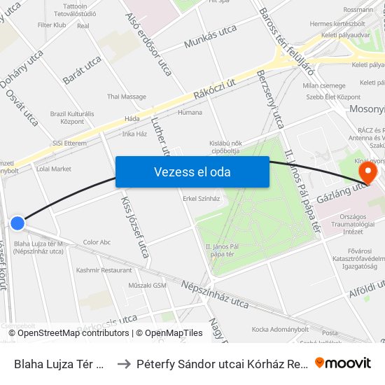 Blaha Lujza Tér M (Népszínház Utca) to Péterfy Sándor utcai Kórház Rendelőintézet és Baleseti Központ map