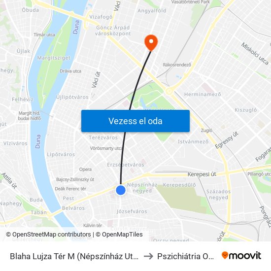 Blaha Lujza Tér M (Népszínház Utca) to Pszichiátria Opai map