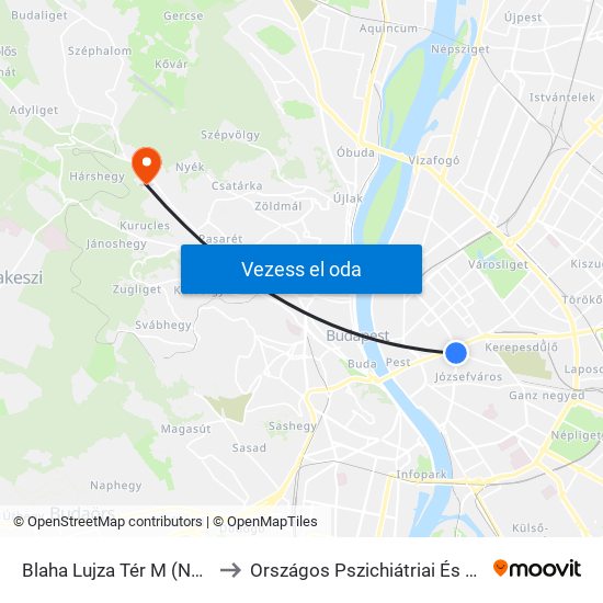 Blaha Lujza Tér M (Népszínház Utca) to Országos Pszichiátriai És Neurológiai Intézet map