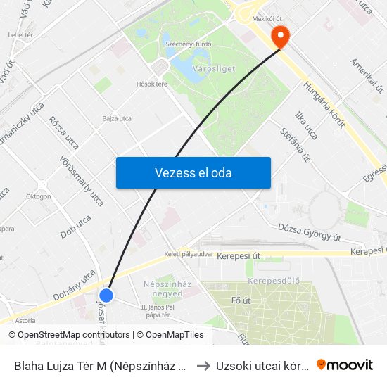 Blaha Lujza Tér M (Népszínház Utca) to Uzsoki utcai kórház map