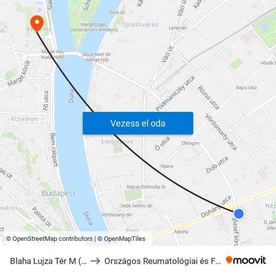 Blaha Lujza Tér M (Népszínház Utca) to Országos Reumatológiai és Fizioterápiás Intézet (ORFI) map