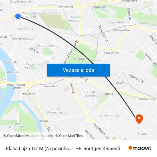 Blaha Lujza Tér M (Népszínház Utca) to Röntgen Kispesti SZTK map