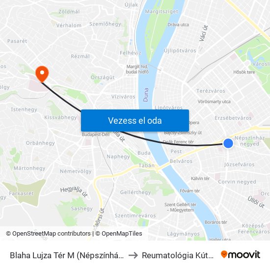 Blaha Lujza Tér M (Népszínház Utca) to Reumatológia Kútvölgyi map