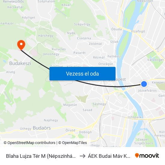 Blaha Lujza Tér M (Népszínház Utca) to ÁEK Budai Máv Korház map