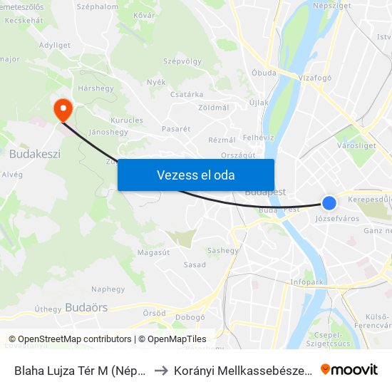 Blaha Lujza Tér M (Népszínház Utca) to Korányi Mellkassebészeti Ambulancia map