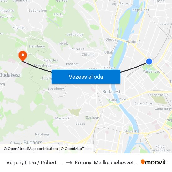 Vágány Utca / Róbert Károly Körút to Korányi Mellkassebészeti Ambulancia map