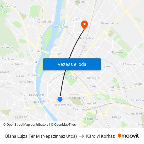 Blaha Lujza Tér M (Népszínház Utca) to Károlyi Kórház map