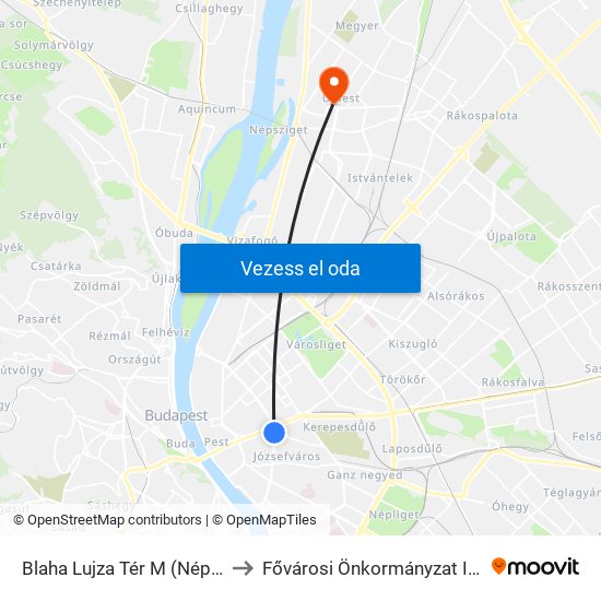 Blaha Lujza Tér M (Népszínház Utca) to Fővárosi Önkormányzat Idősek Otthona map