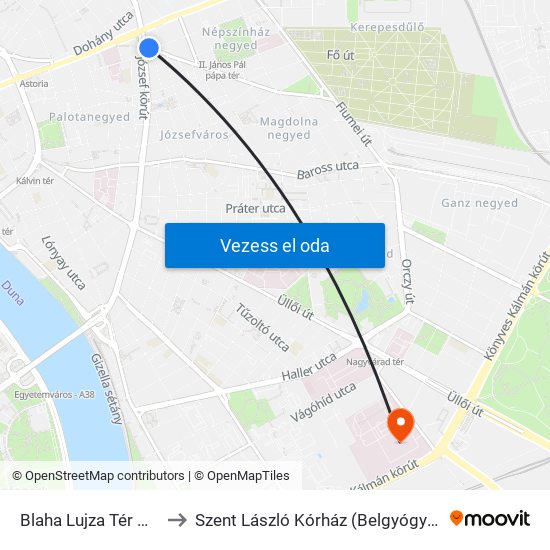 Blaha Lujza Tér M (Népszínház Utca) to Szent László Kórház (Belgyógyászat-Immunológiai Ambulancia) map