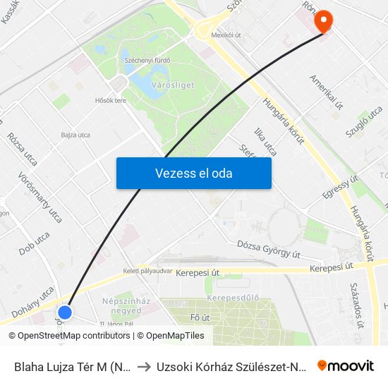 Blaha Lujza Tér M (Népszínház Utca) to Uzsoki Kórház  Szülészet-Nőgyógyászati Osztály map