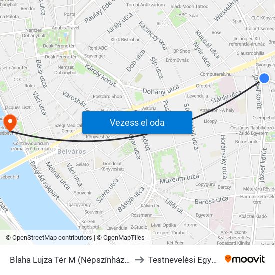 Blaha Lujza Tér M (Népszínház Utca) to Testnevelési Egyetem map