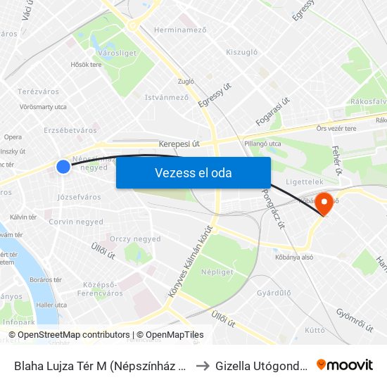 Blaha Lujza Tér M (Népszínház Utca) to Gizella Utógondozó map