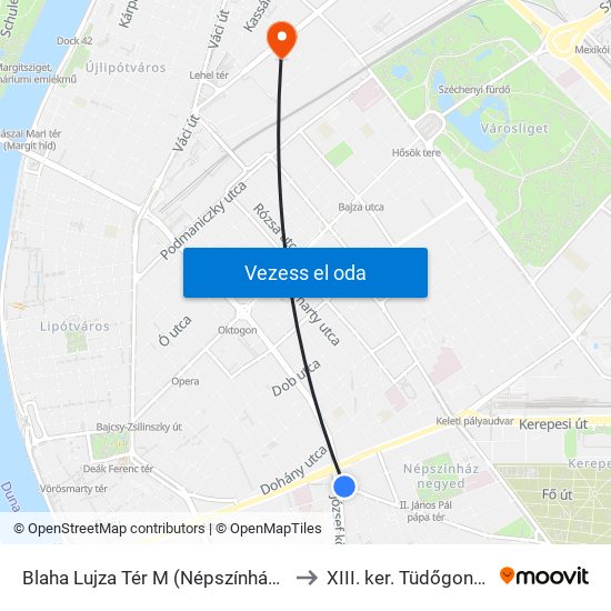 Blaha Lujza Tér M (Népszínház Utca) to XIII. ker. Tüdőgondozó map