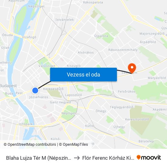 Blaha Lujza Tér M (Népszínház Utca) to Flór Ferenc Kórház Kistarcsa map