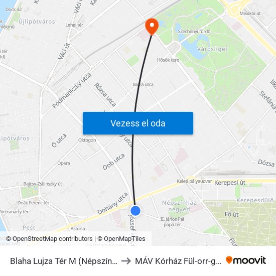 Blaha Lujza Tér M (Népszínház Utca) to MÁV Kórház Fül-orr-gégészet map