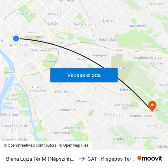 Blaha Lujza Tér M (Népszínház Utca) to GAT - Kisgépes Terminál map