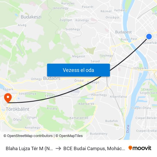 Blaha Lujza Tér M (Népszínház Utca) to BCE Budai Campus, Mohácsy Mátyás Kollégium map