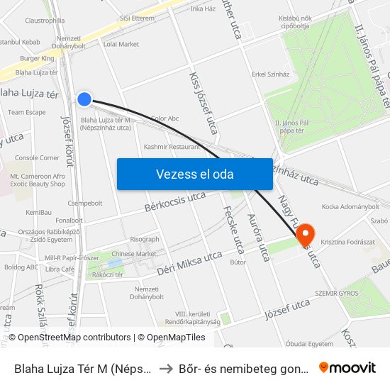 Blaha Lujza Tér M (Népszínház Utca) to Bőr- és nemibeteg gondozó Auróra map