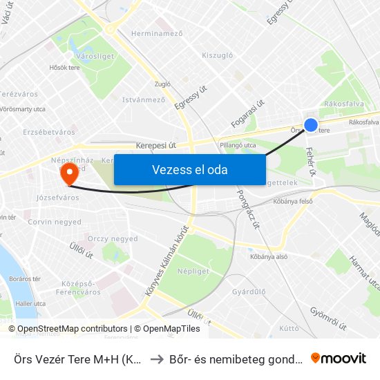 Örs Vezér Tere M+H (Kerepesi Út) to Bőr- és nemibeteg gondozó Auróra map