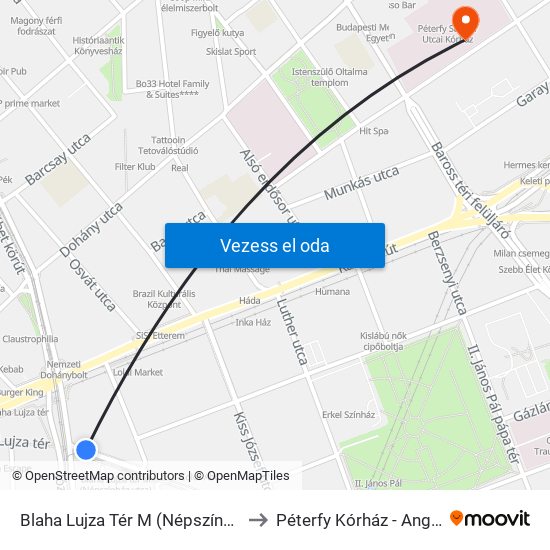 Blaha Lujza Tér M (Népszínház Utca) to Péterfy Kórház - Angiológia map