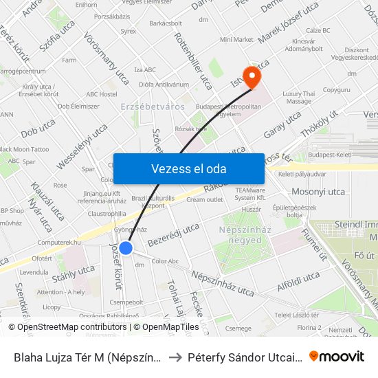 Blaha Lujza Tér M (Népszínház Utca) to Péterfy Sándor Utcai Kórház map