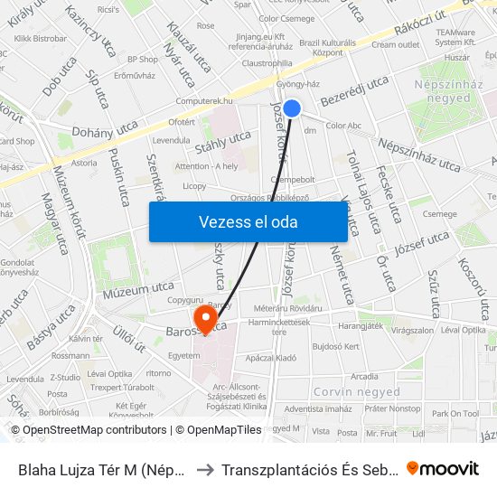 Blaha Lujza Tér M (Népszínház Utca) to Transzplantációs És Sebészeti Klinika map