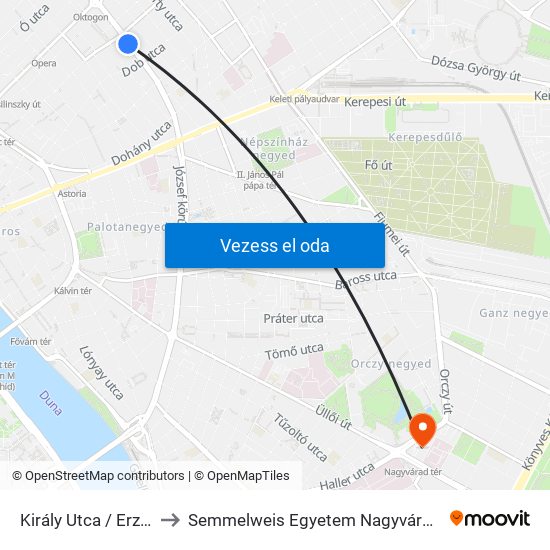 Király Utca / Erzsébet Körút to Semmelweis Egyetem Nagyvárad Téri Elméleti Tömb map