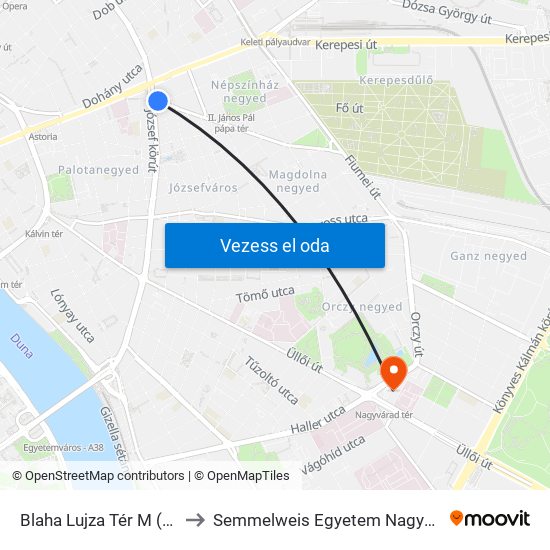 Blaha Lujza Tér M (Népszínház Utca) to Semmelweis Egyetem Nagyvárad Téri Elméleti Tömb map