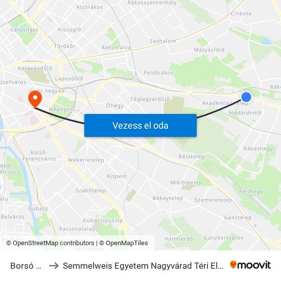 Borsó Utca to Semmelweis Egyetem Nagyvárad Téri Elméleti Tömb map