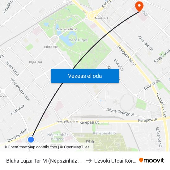 Blaha Lujza Tér M (Népszínház Utca) to Uzsoki Utcai Kórház map