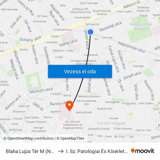 Blaha Lujza Tér M (Népszínház Utca) to I. Sz. Patológiai És Kísérleti Rákkutató Intézet map