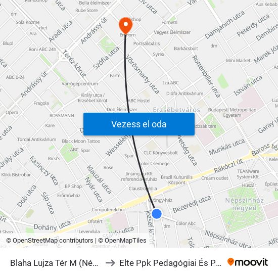 Blaha Lujza Tér M (Népszínház Utca) to Elte Ppk Pedagógiai És Pszichológiai Kar map