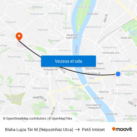 Blaha Lujza Tér M (Népszínház Utca) to Pető Intézet map