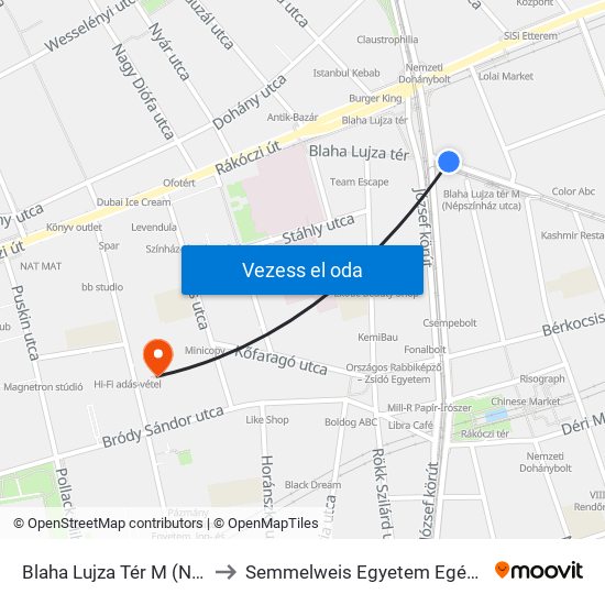 Blaha Lujza Tér M (Népszínház Utca) to Semmelweis Egyetem Egészségtudományi Kar map