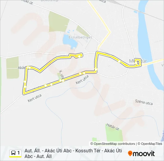 1 Bus Line Map