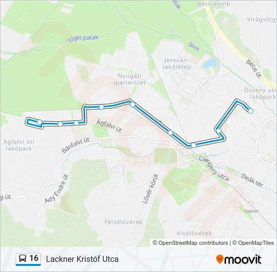 16 Bus Line Map