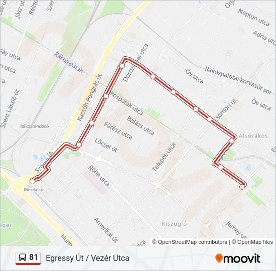 81 Bus Line Map