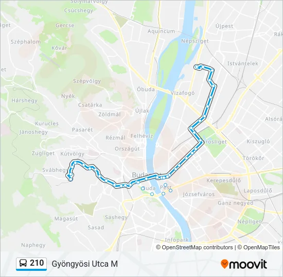 210 Bus Line Map
