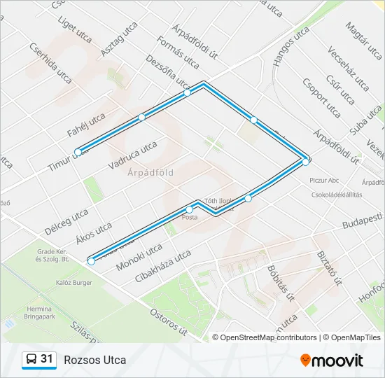 31 Bus Line Map