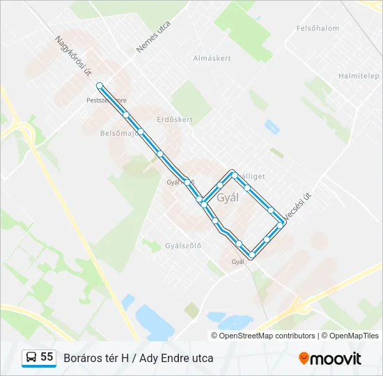 55 Bus Line Map