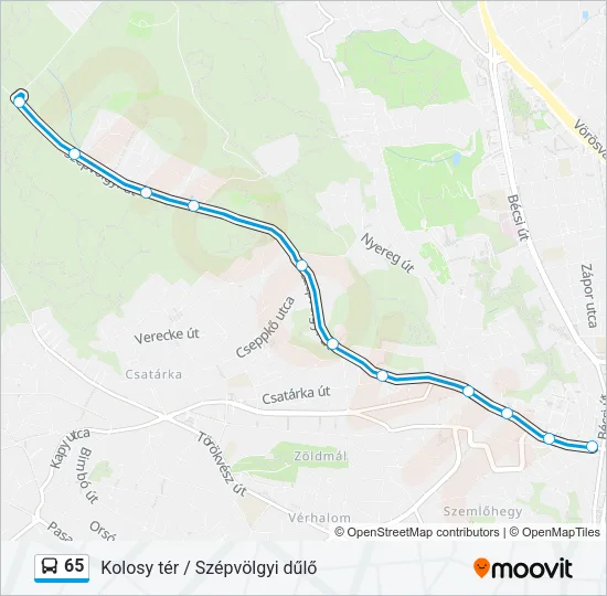 65 Bus Line Map
