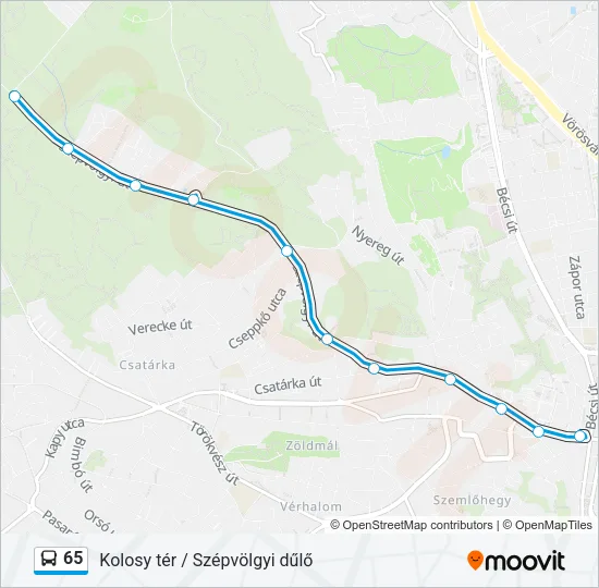 65 Bus Line Map