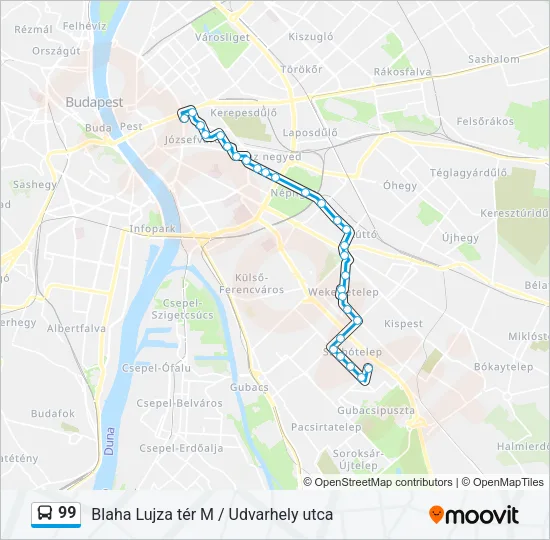 99 Bus Line Map