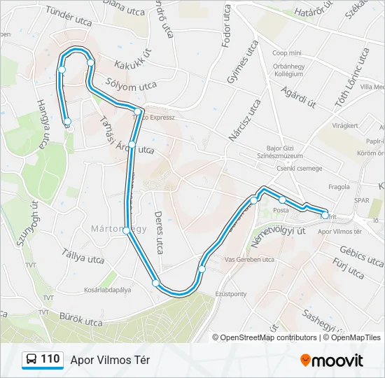 110 Bus Line Map