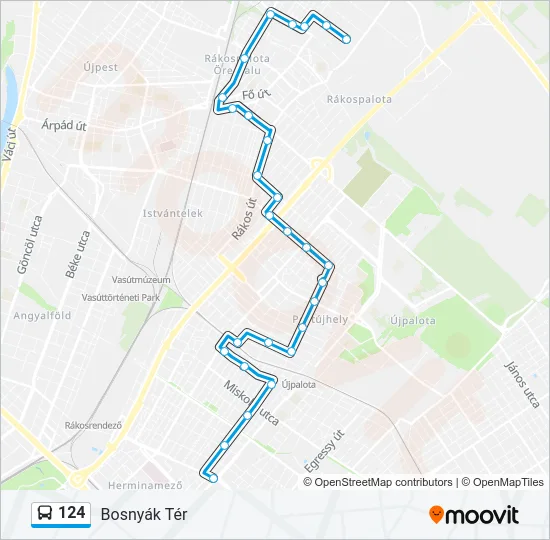 124 Bus Line Map