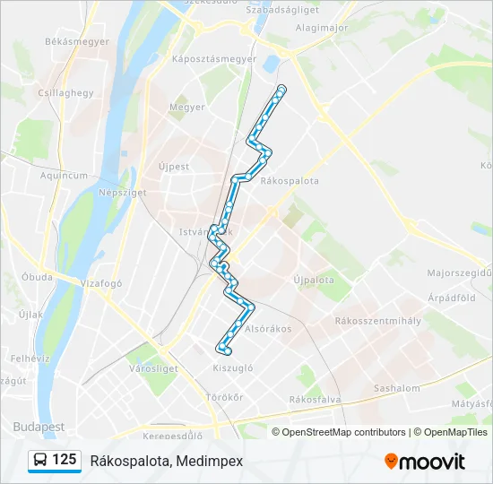 125 Bus Line Map